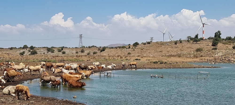 בריכת בראון – באב אל הווא שער הרוחות