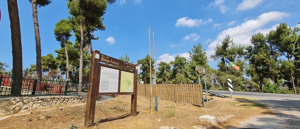 דרך נוף יער ביריה