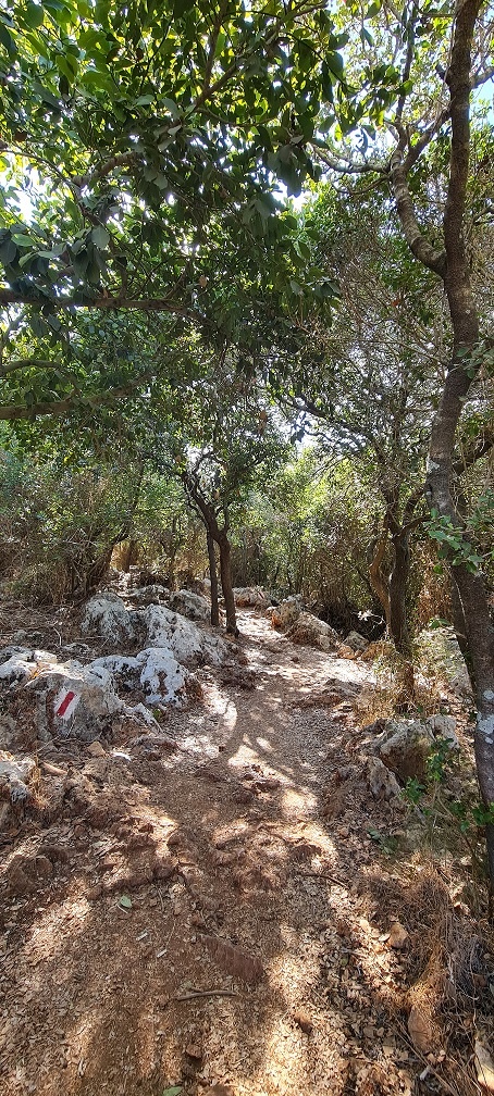 דרך לנוף מנזר אל מוחרקה