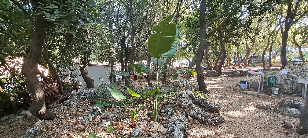 פארק ראני חלבי – דלית אל כרמל