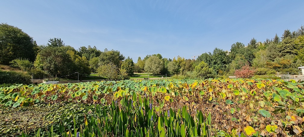הגן הבוטני האוניברסיטאי בגבעת רם – ירושלים