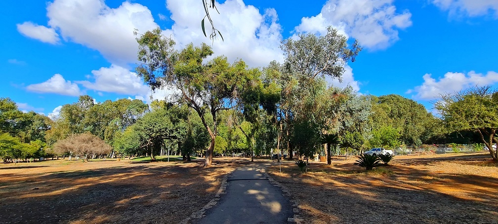 יער האילנות – גן בוטני יערני (ארבורטום) ומרכז מבקרים