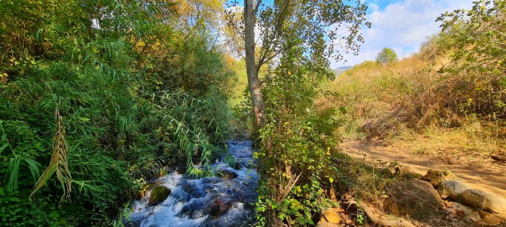 נחל חרמון הבניאס עליון ממתחם המעיינות ועד למפל הבניאס