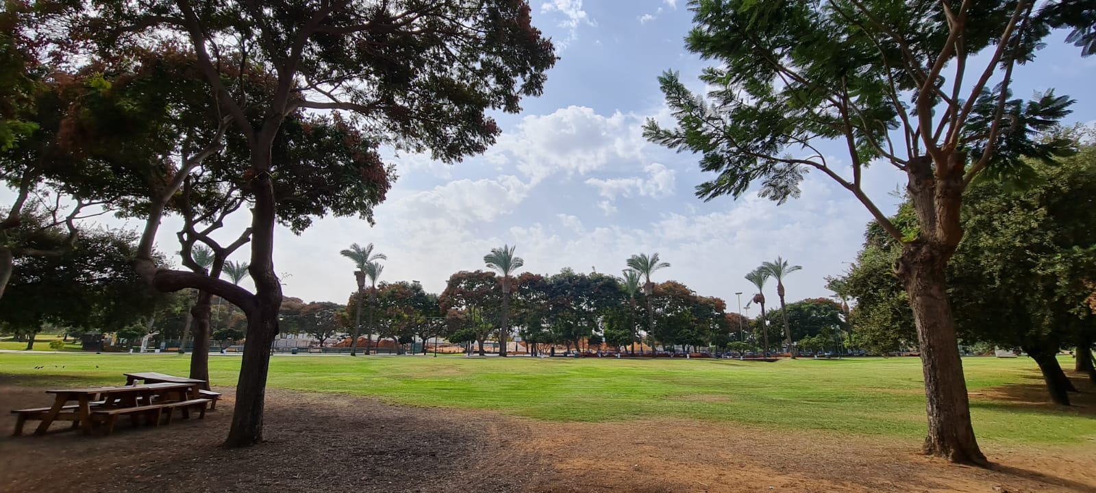 פארק רעננה - פארק עירוני בשרון