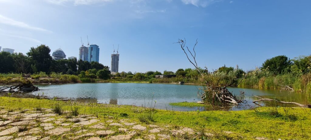 פארק צפרות ראש ציפור יער ראש ציפור ותל נפוליון