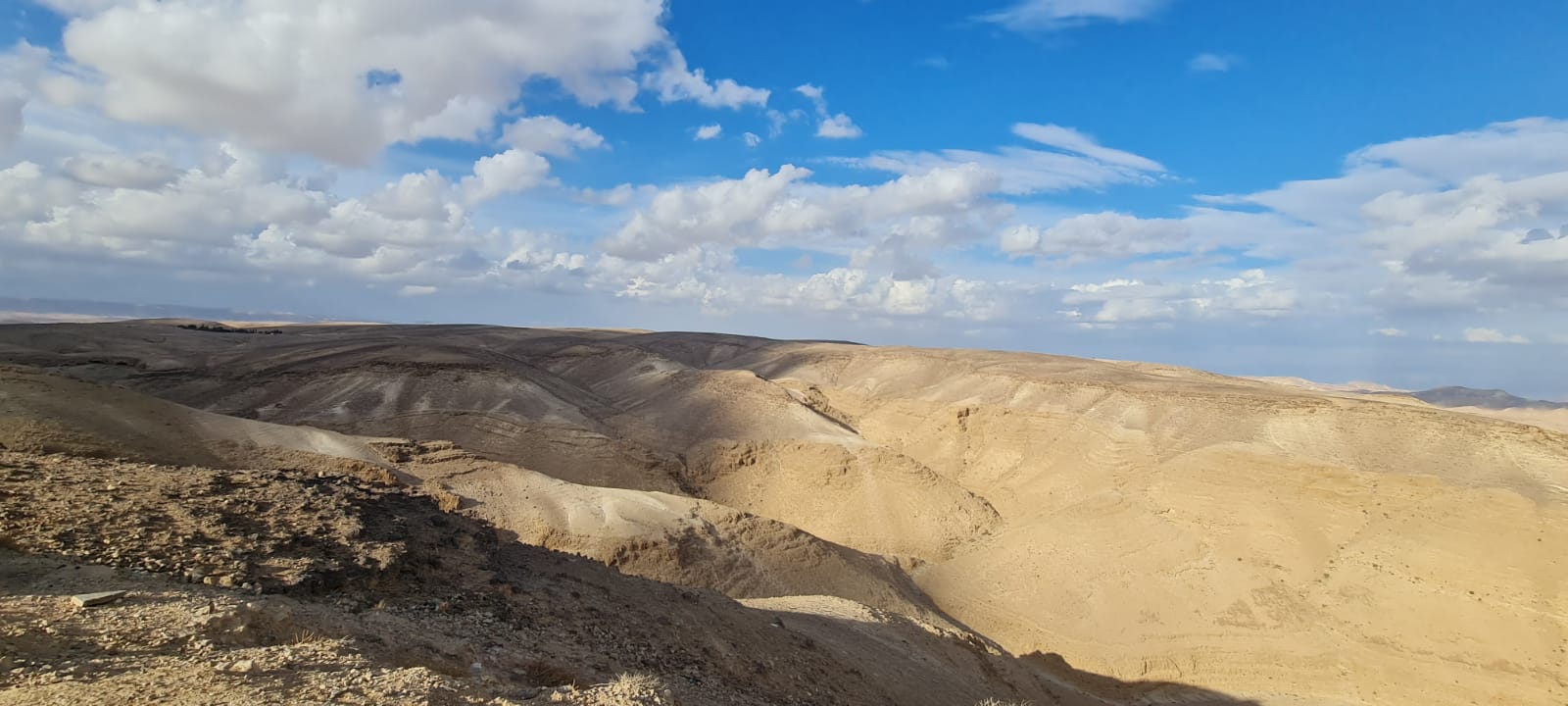 מצפור מואב ומסלול נחל כידד בערד