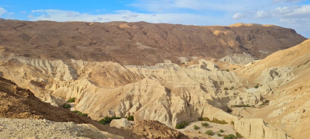 נחל זוהר – מסלול הליכה קווי במדבר יהודה