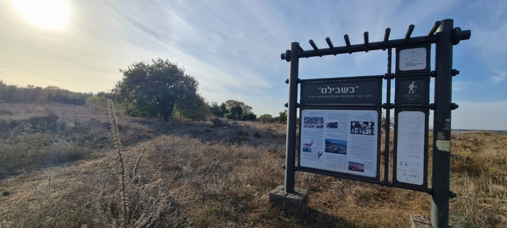בשבילם – מסלול לזכר הנופלים ביער מרום גולן