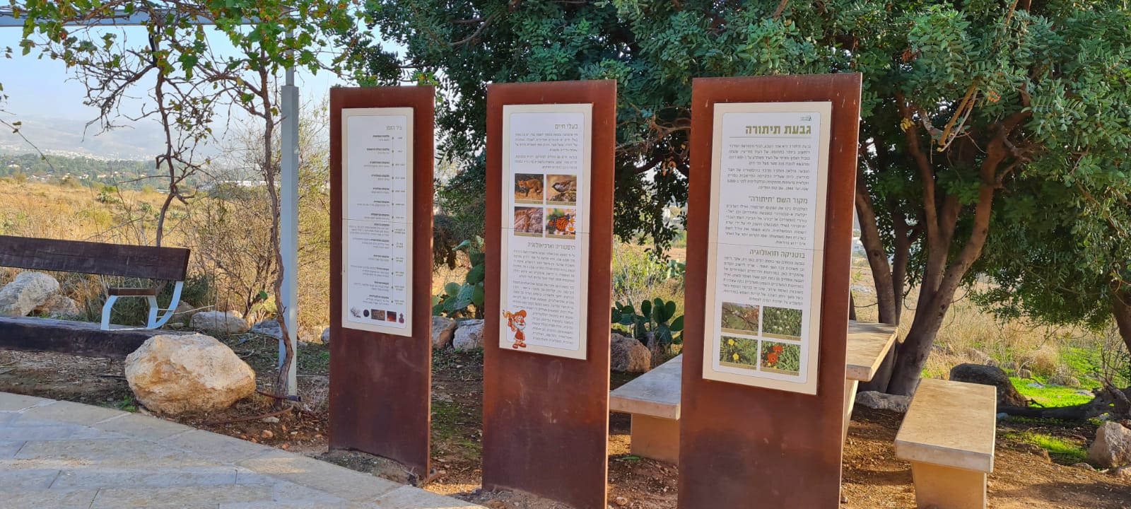 גבעת התיתורה במודיעין – טיול נגיש לכל המשפחה