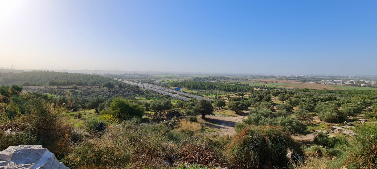 תל חדיד – טיול בין נופי יער מרשימים ואריכיאולוגיה