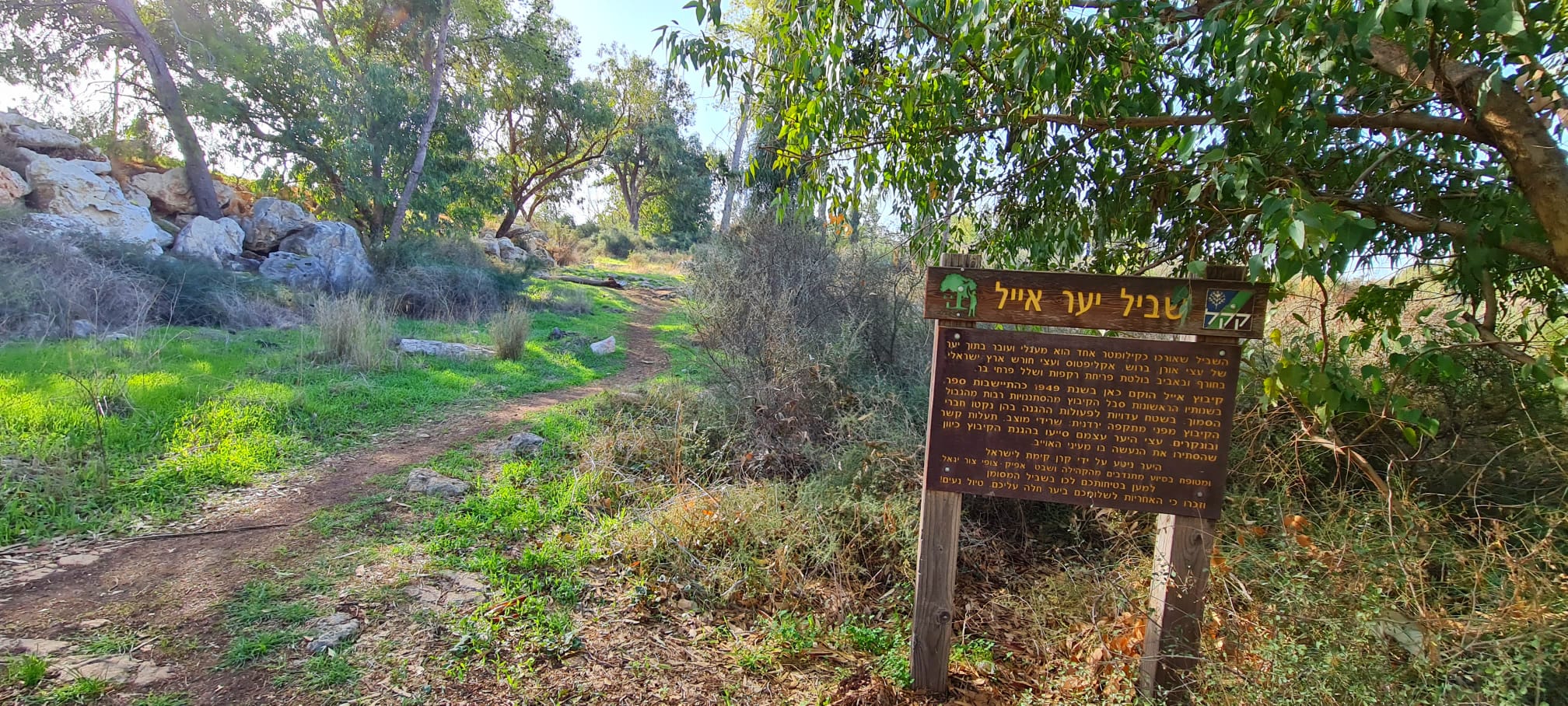 שביל יער אייל וגבעת המוצב