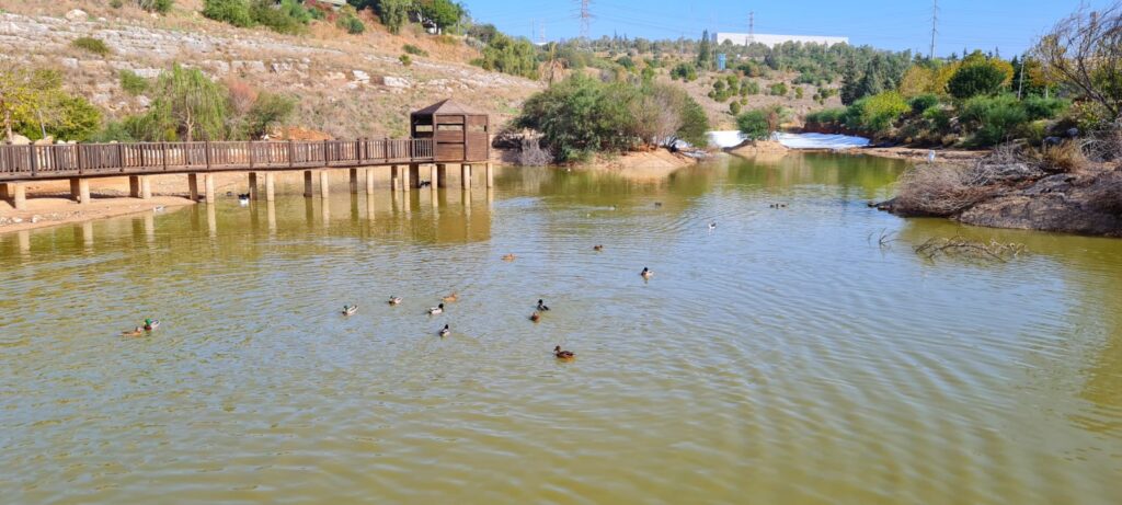 אגם הצלילים בראש העין – נחל רבה