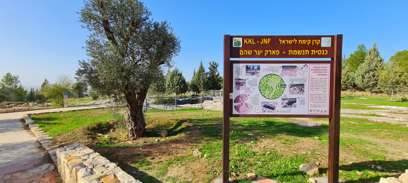 פארק יער שוהם – חרבת תנשמת וגבעת הספלולים