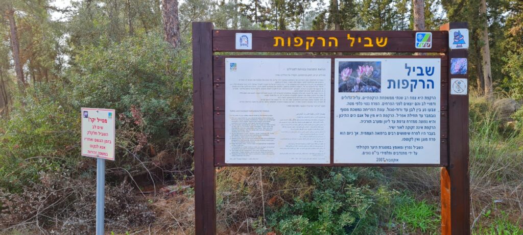 שביל הרקפות במגדל העמק