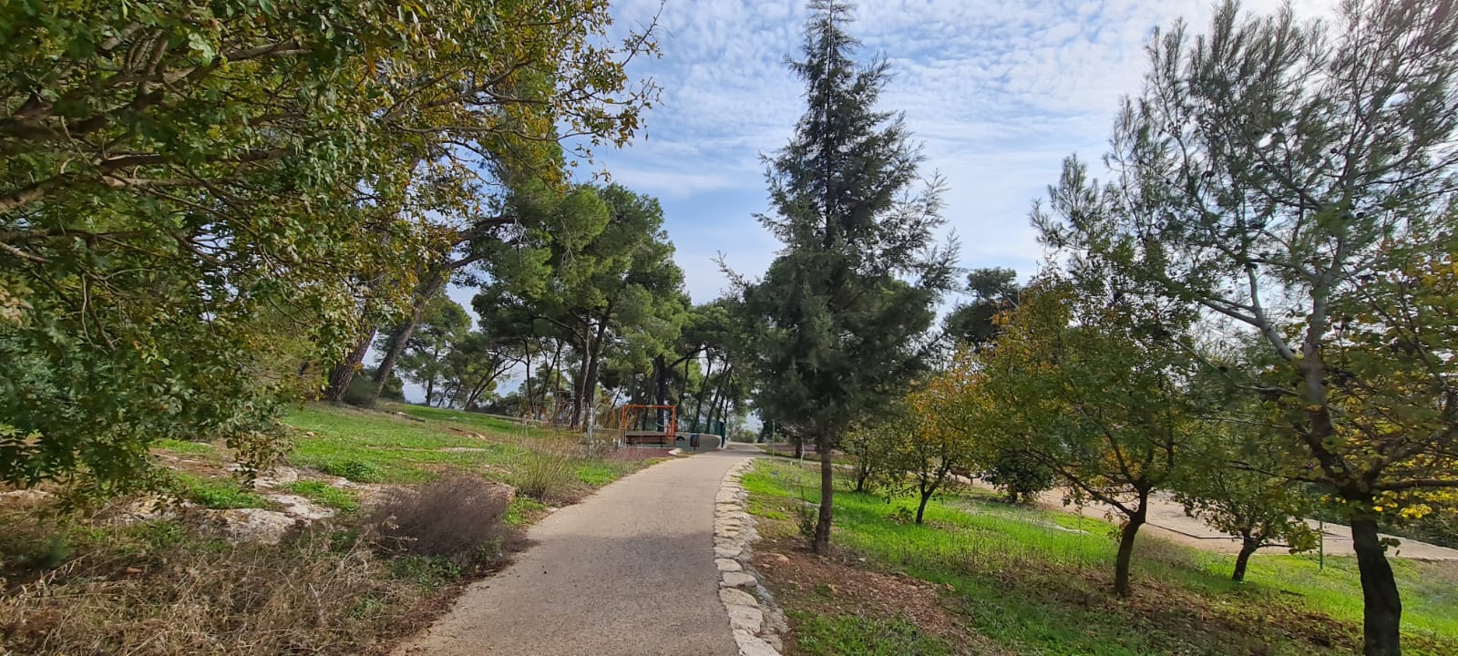 יער בלפור יער קהילתי במגדל העמק