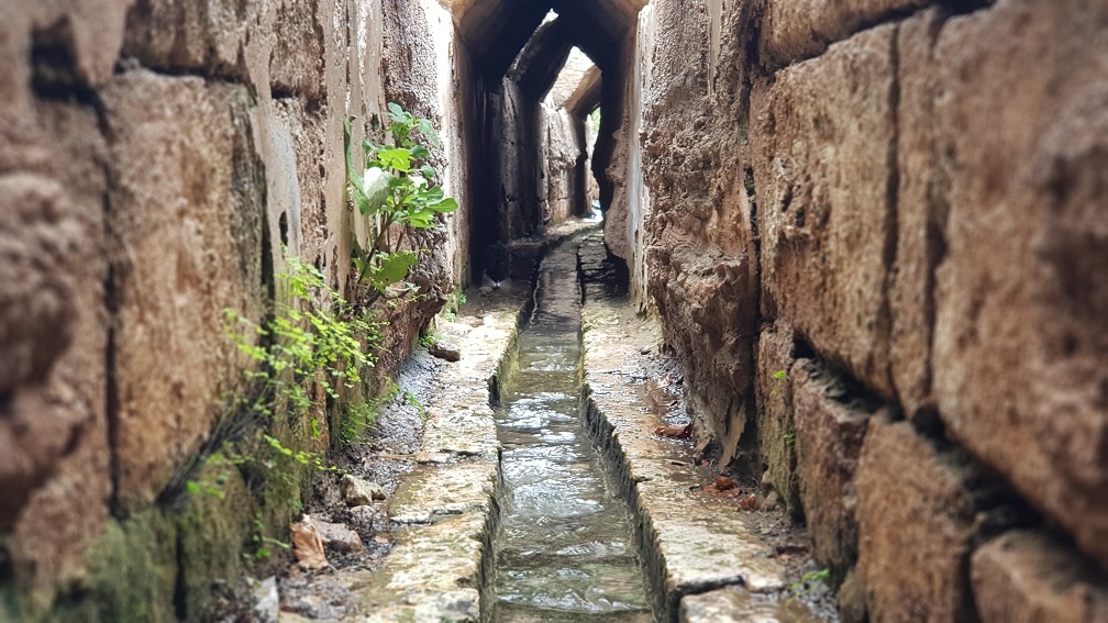 עין צור רמת הנדיב