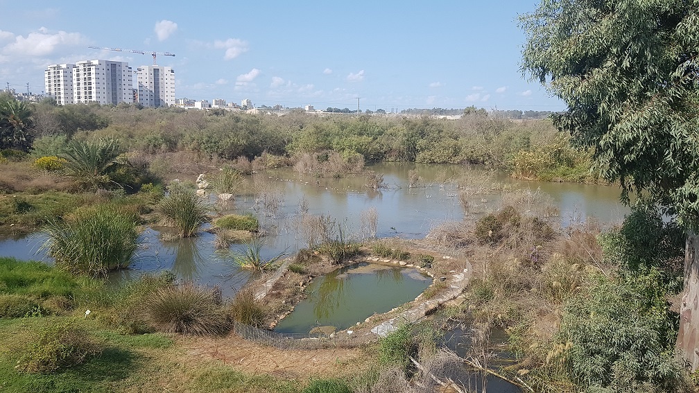שמורת הטבע עין אפק מסלול ביצות – טיול ליד הבית