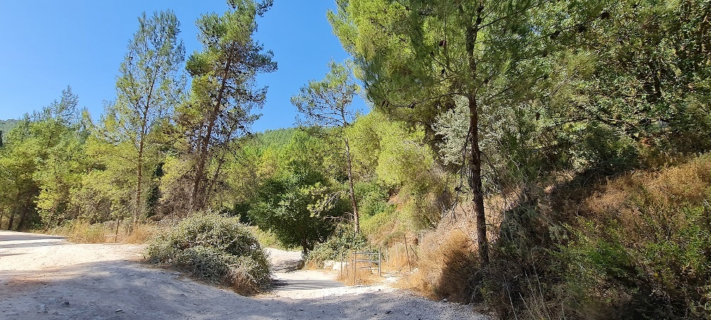 נחל גוש חלב – מסלול הליכה בגליל העליון