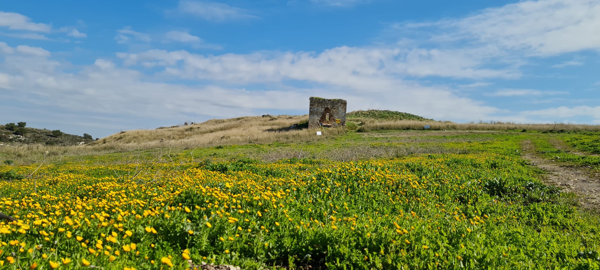 שביל סיון – עמק השלום ונחל סנין