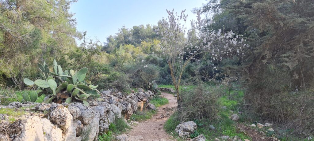 שביל הבארות והבורות – פארק בריטניה