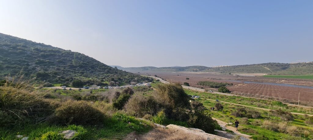תל שוכה גבעת התורמוסים