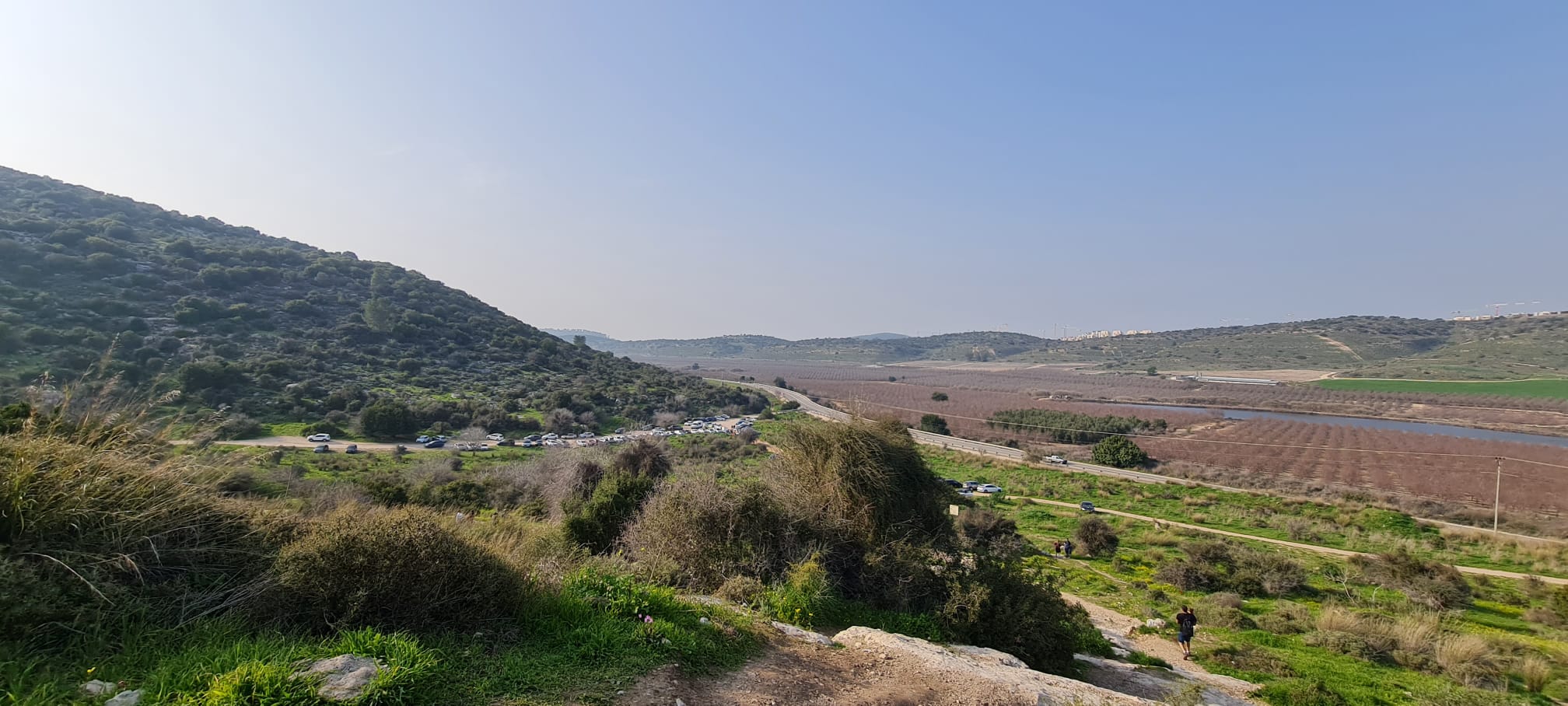 תל שוכה גבעת התורמוסים