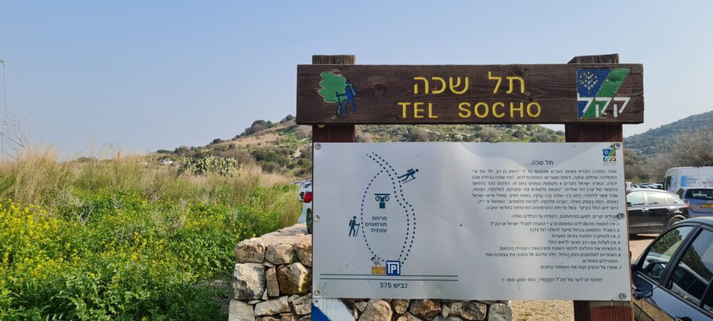 תל שוכה גבעת התורמוסים