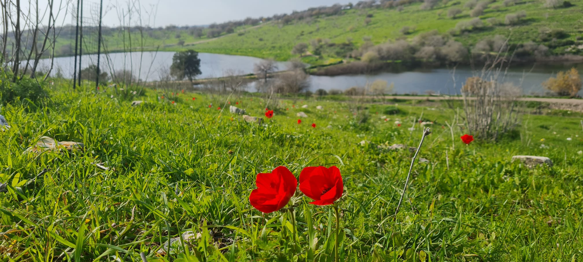 מאגר גלעד רמות מנשה