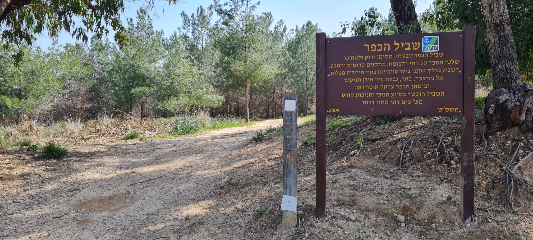 שביל הכפר ביער קוממיות