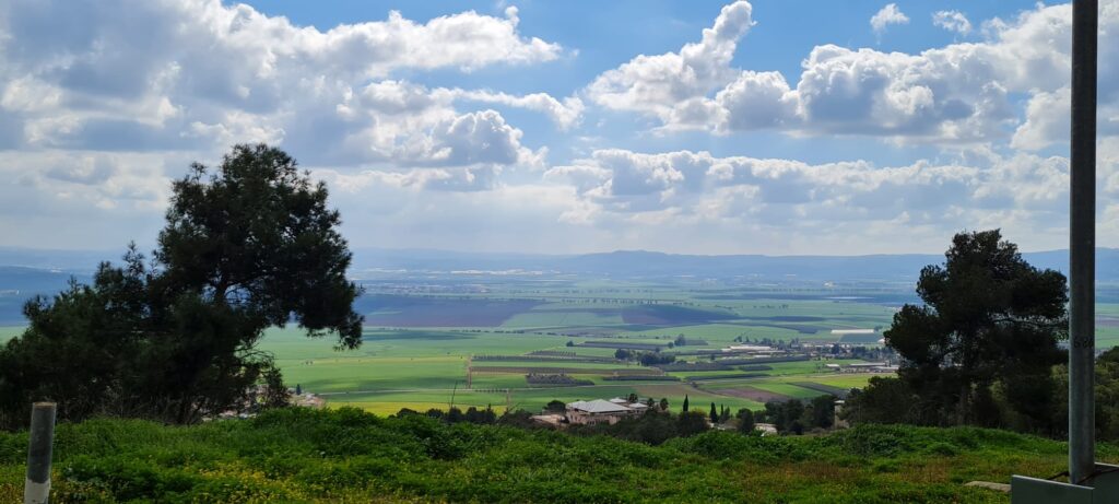 טיול ביער גבעת המורה – דרך נוף העוברת ביער הפורח