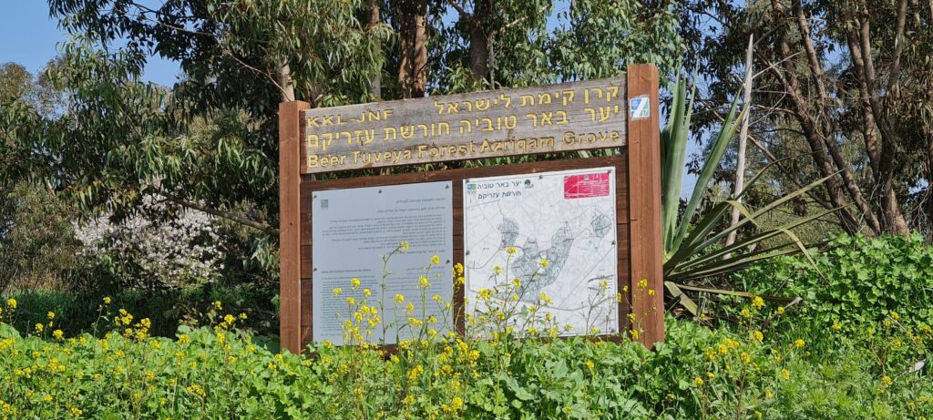 יער עזריקם באר טובה