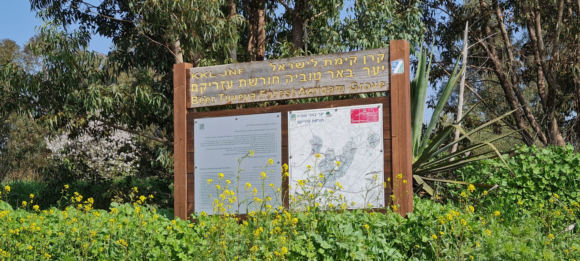 יער עזריקם באר טובה