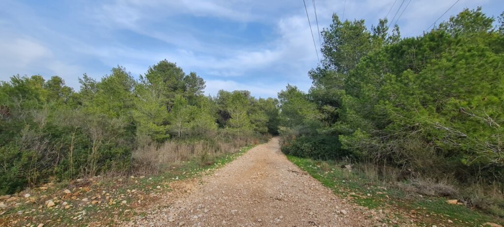 גבעת העיזים חיפה