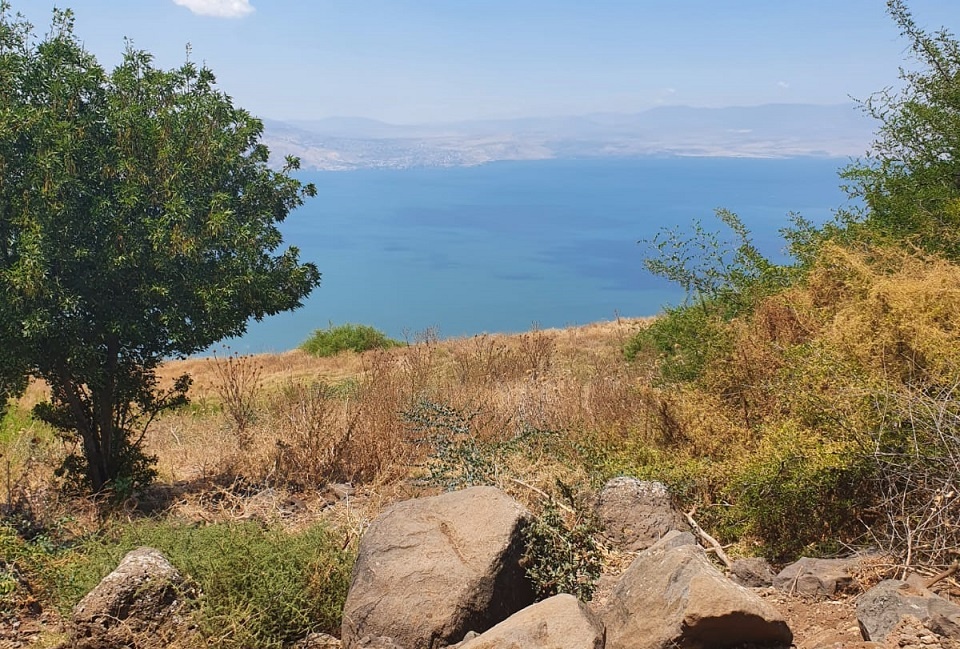 עין שוקו – מעיין התאנה