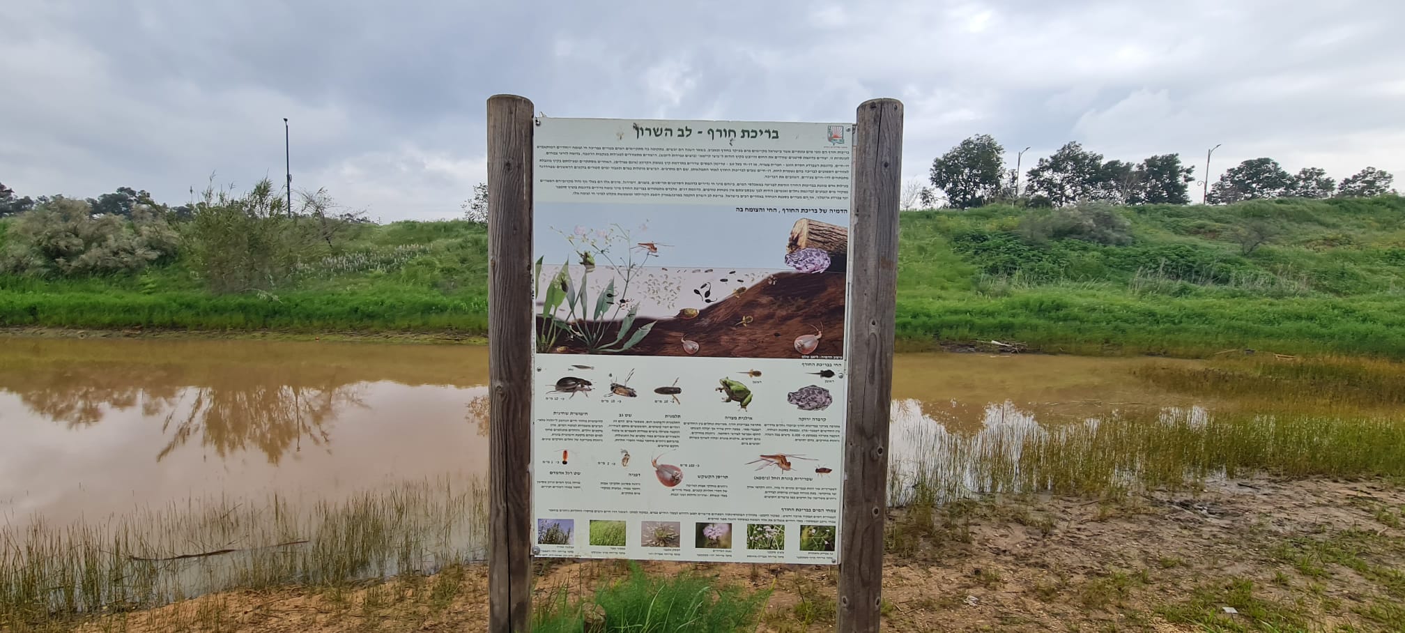 פארק בריכת החורף לב השרון - עין שריד