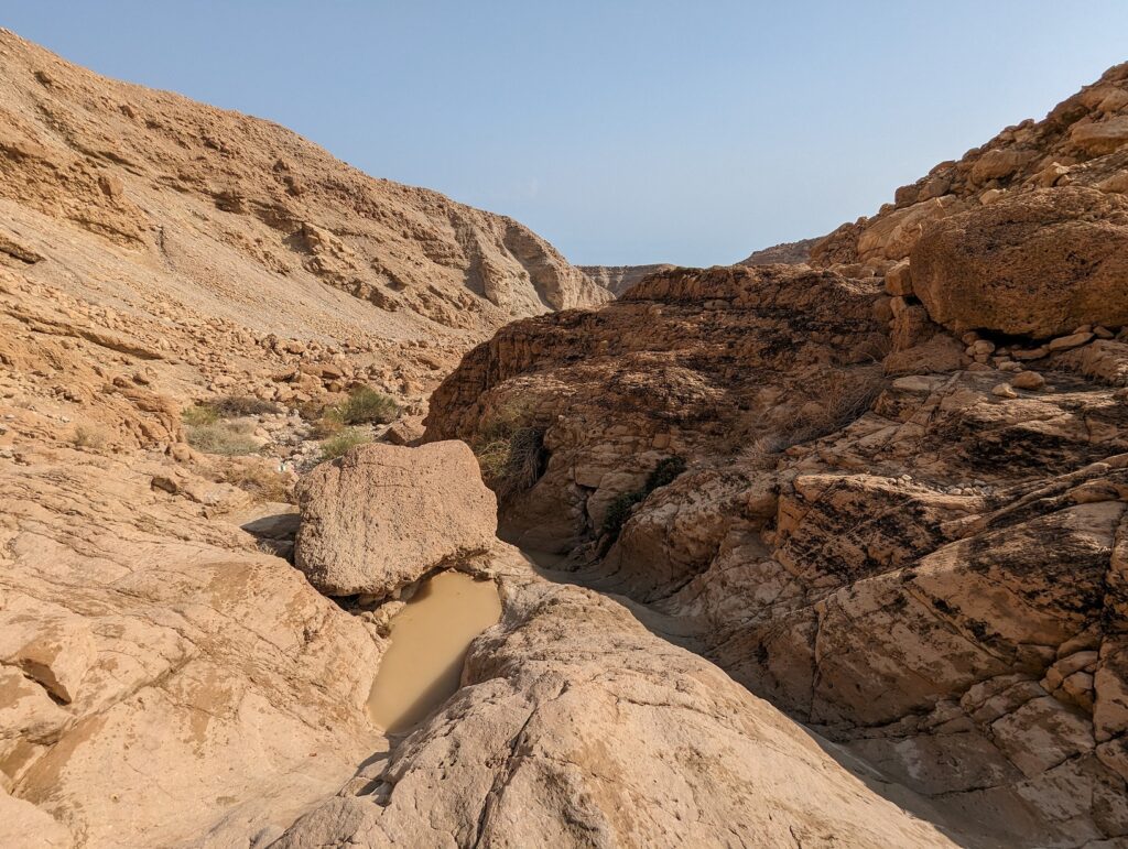 נחל סלוודורה בשמורת מצוק העתקים