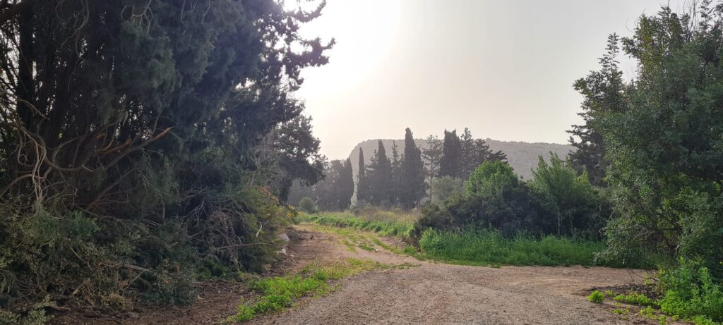 נחל ספונים - מסלול אל מערת ספונים