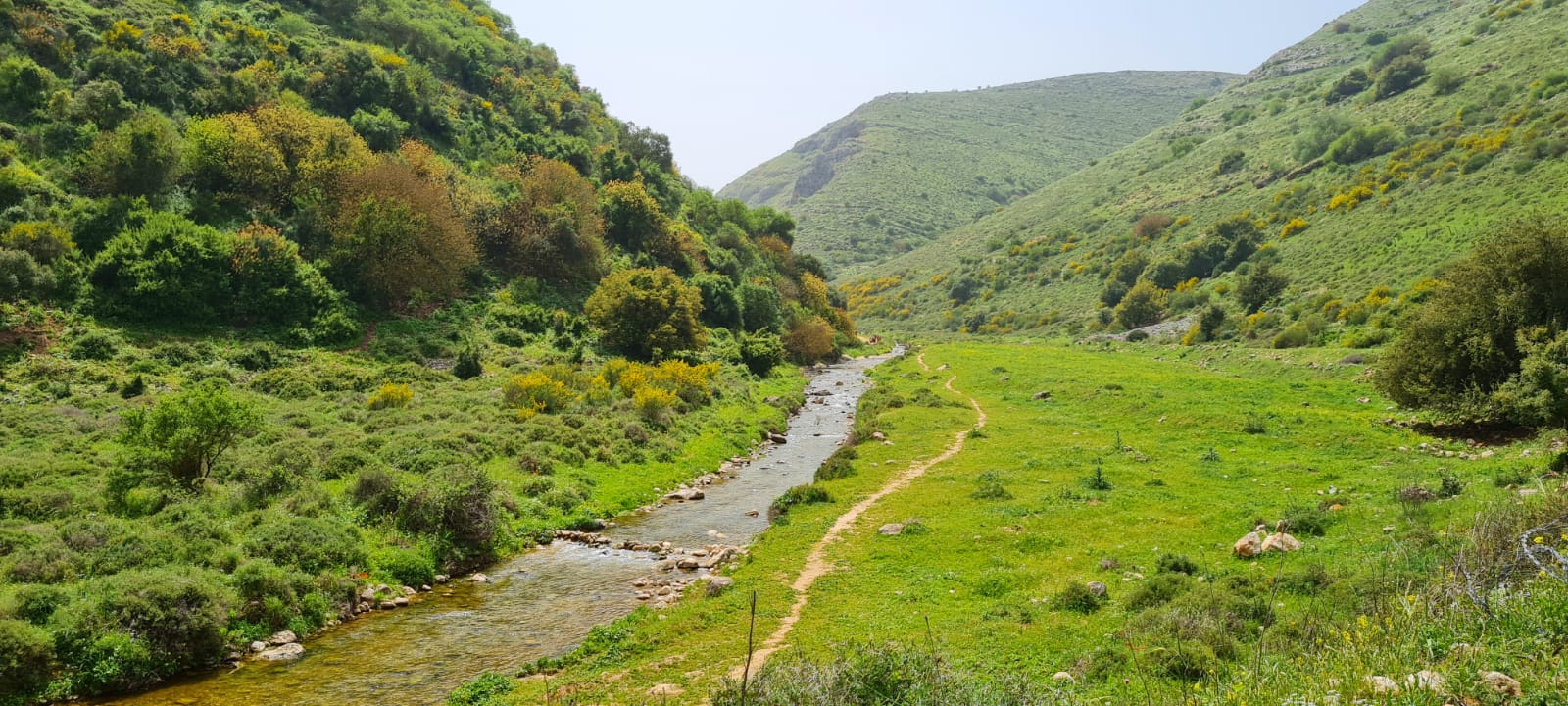 נחל דישון ונחל אביב