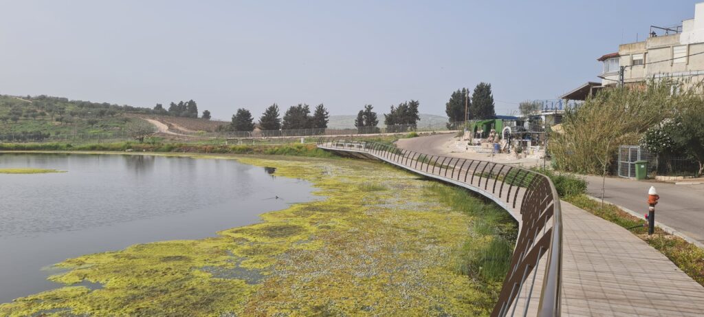 בריכת החורף בכפר ריחניה