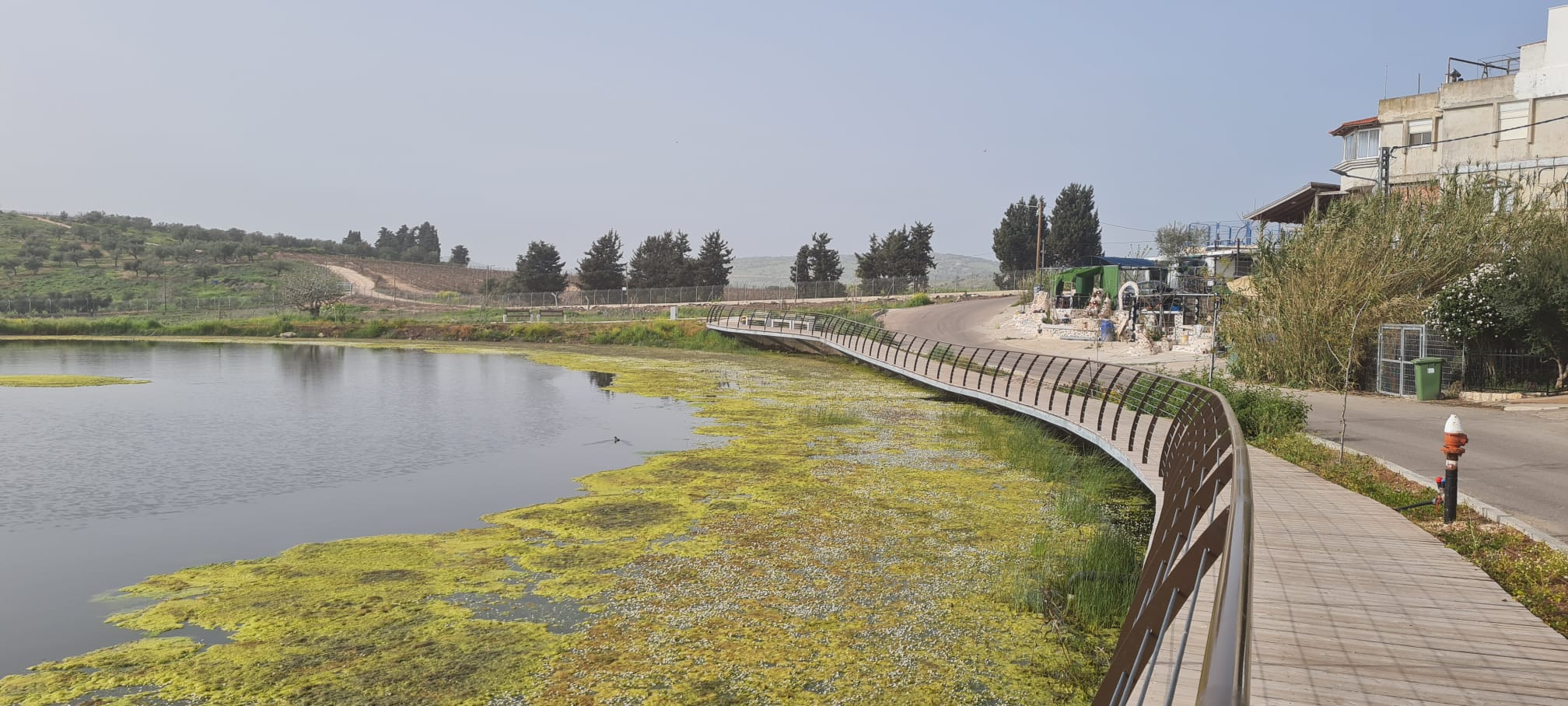 בריכת החורף בכפר ריחניה