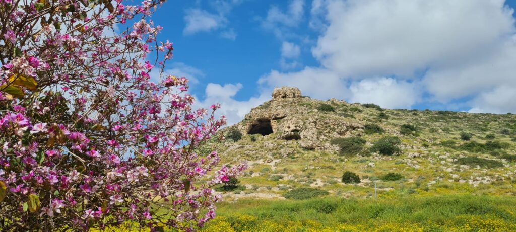 שביל עובדיה – ואדי עובדיה בחיפה