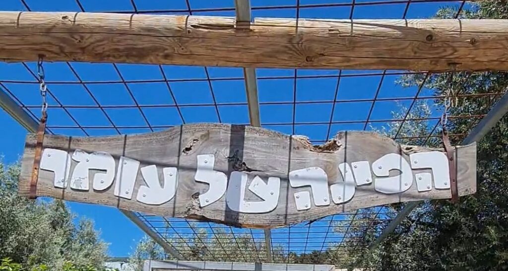 הפינה של עומר – פינת חי בקיבוץ פרוד