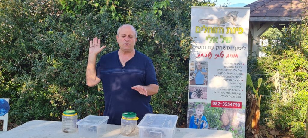 פינת הזוחלים של אלי