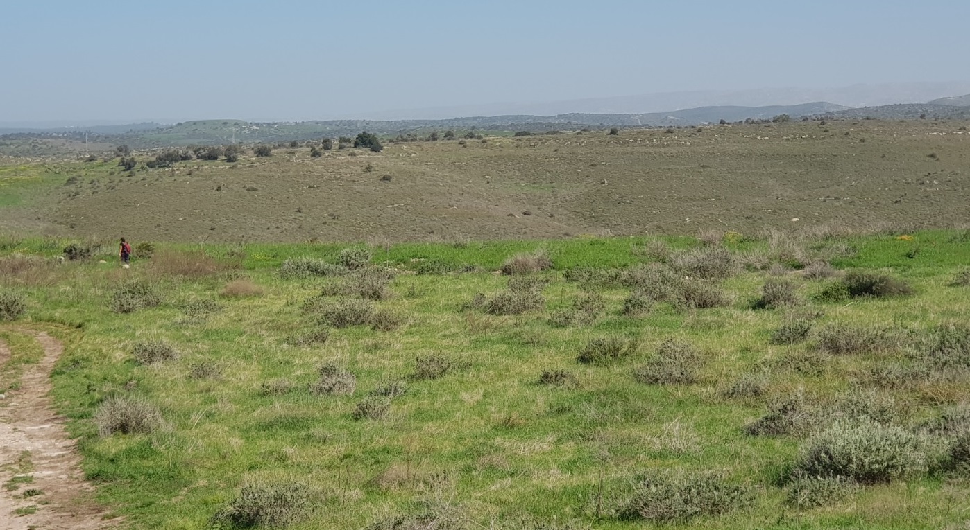 שמורת הטבע גבעות גד