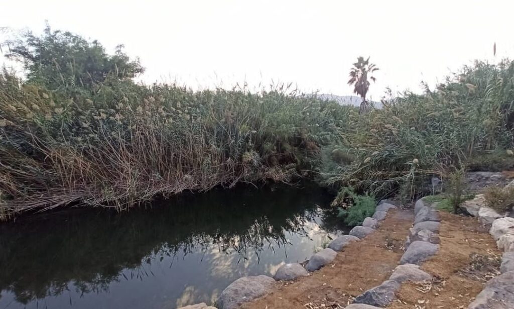 עין דני עין עריף – שפך נחל הקיבוצים