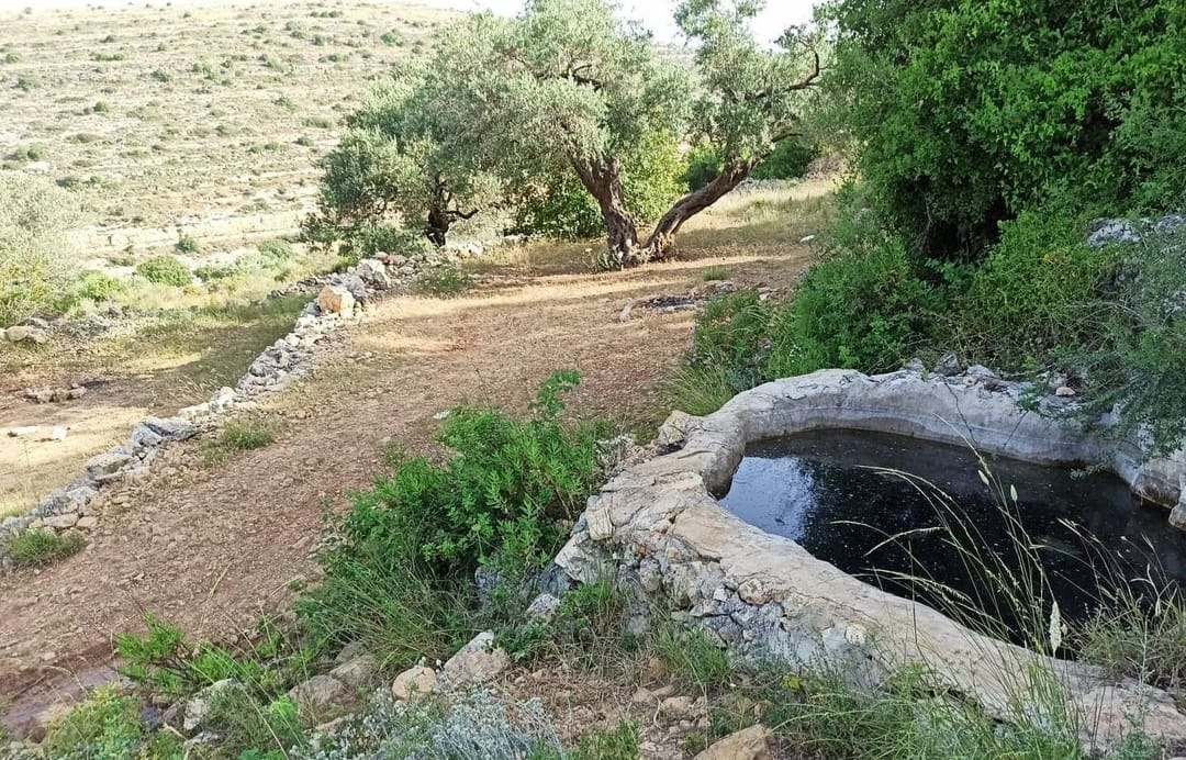שביל המעיינות פארק גיבורות התנ"ך
