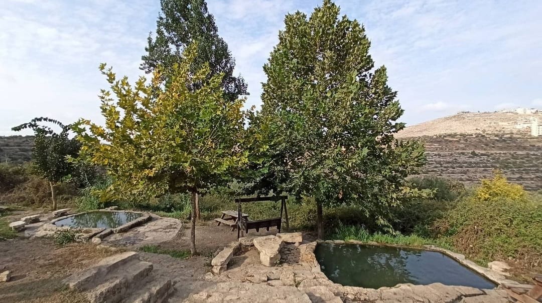 עיינות ענר – גן השלושה - צילום יאיר שוהם