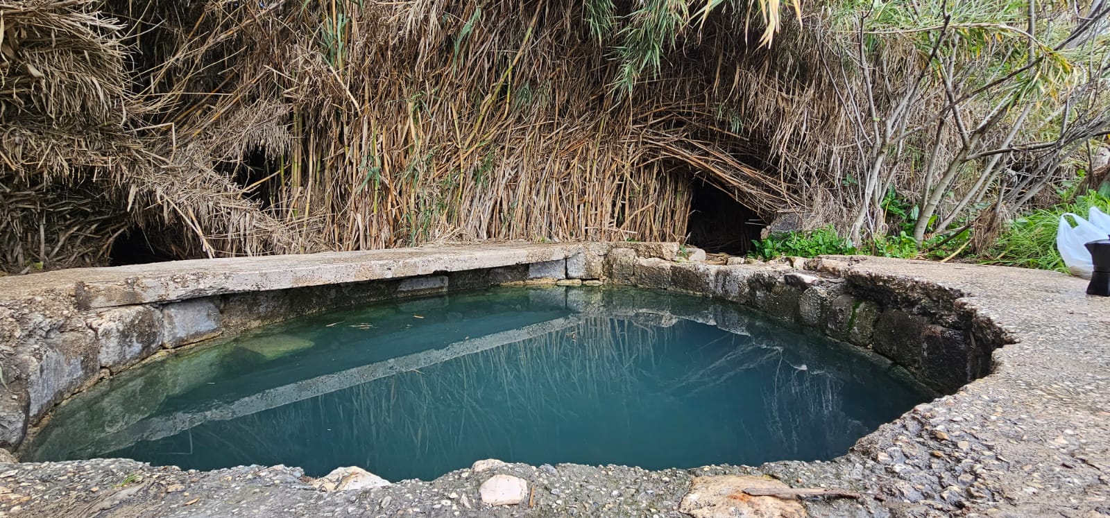 עין ורדה עין ירד: מעיין צלול למרגלות תל גזר