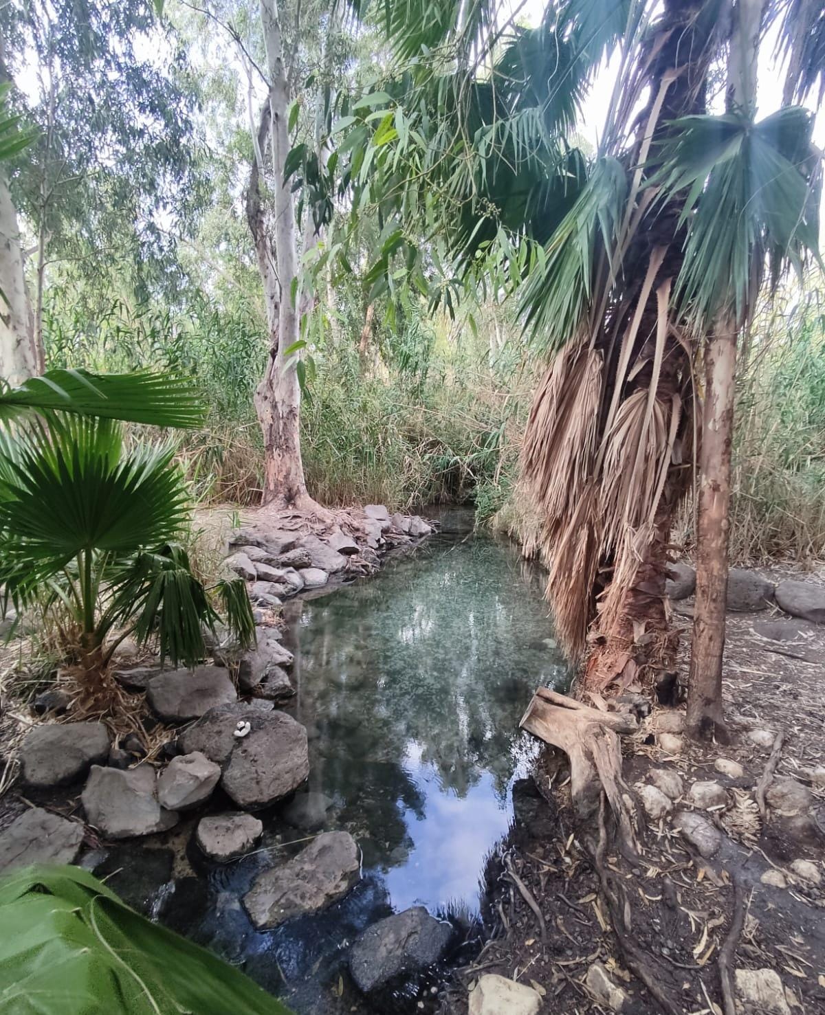 עין הדייג – מעיין קטן ונסתר בלב עמק החולה