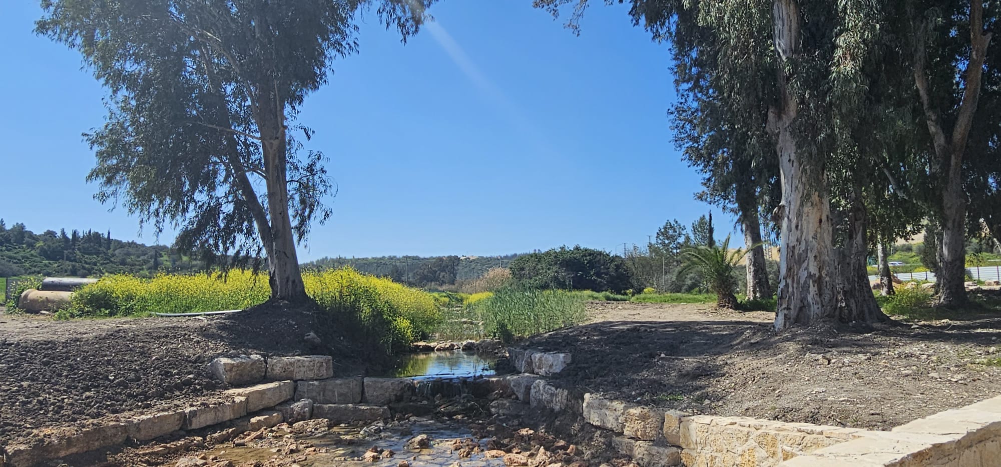 פארק האקליפטוס נחל ירמות: פארק מעיינות אורי-ישעי